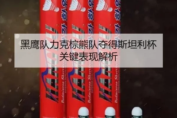 黑鹰队力克棕熊队夺得斯坦利杯 关键表现解析