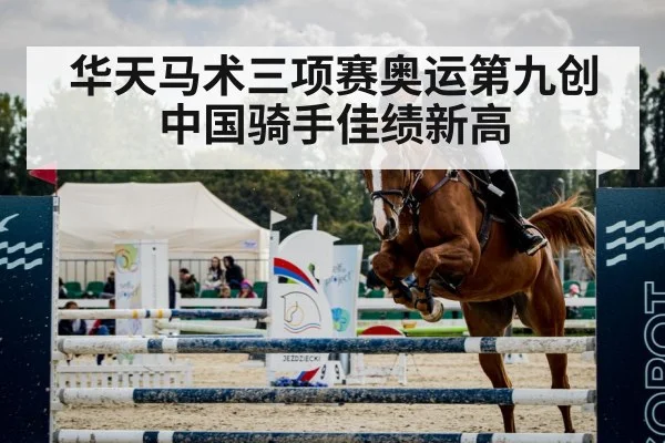 horse show jumping arena